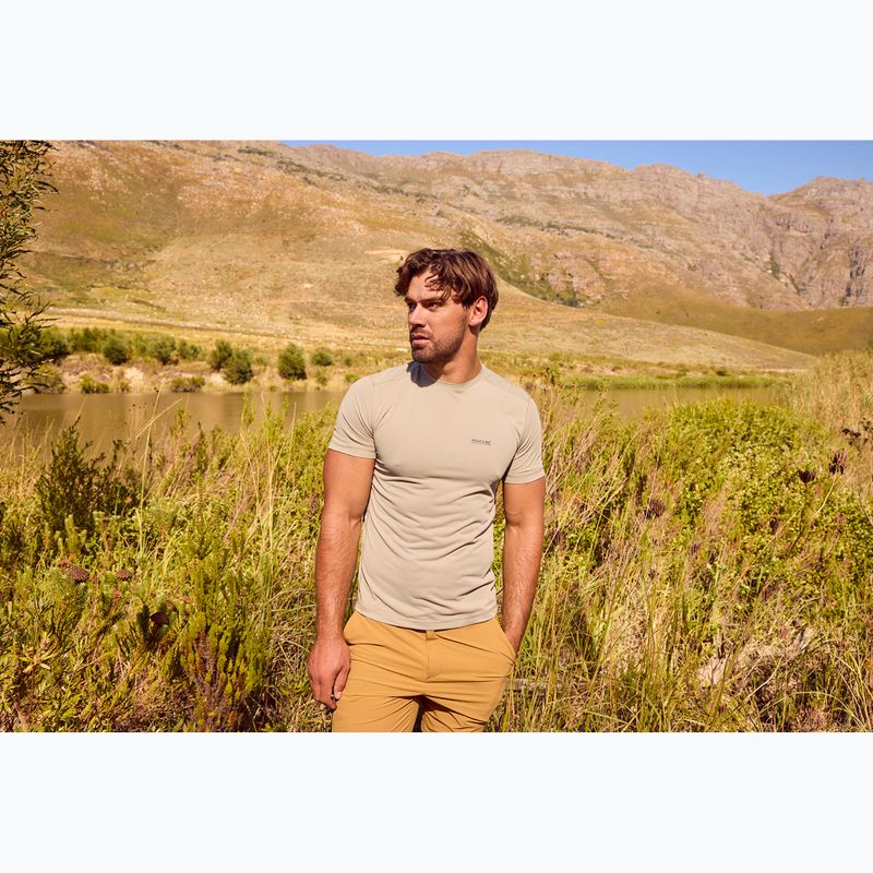 Tricou pentru bărbați REGATTA Mindoi Anti Insect abbeystone 5