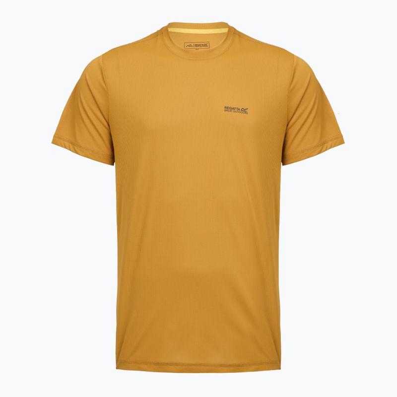 Tricou de trekking pentru bărbați REGATTA Mindoi Anti Insect wood brown
