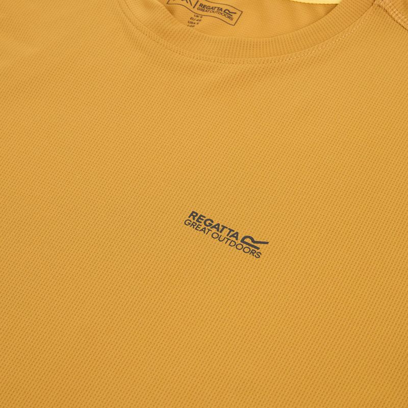 Tricou pentru bărbați REGATTA Mindoi Anti Insect wood brown 3