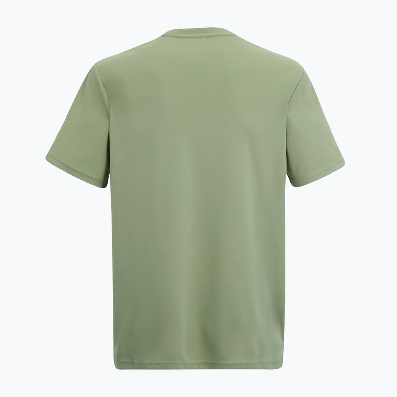 Tricou de trekking pentru bărbați REGATTA Fingal light sage 6