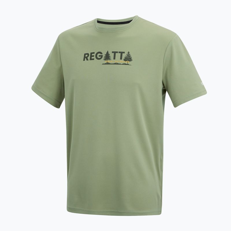 Tricou de trekking pentru bărbați REGATTA Fingal light sage 7