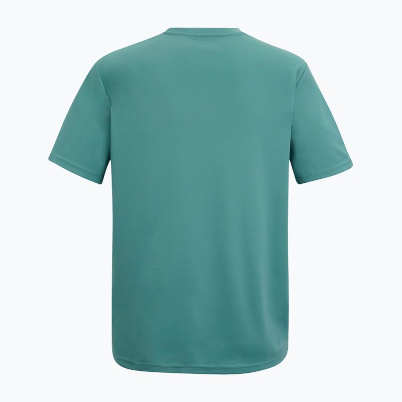 Tricou de trekking pentru bărbați REGATTA Fingal arctic 6