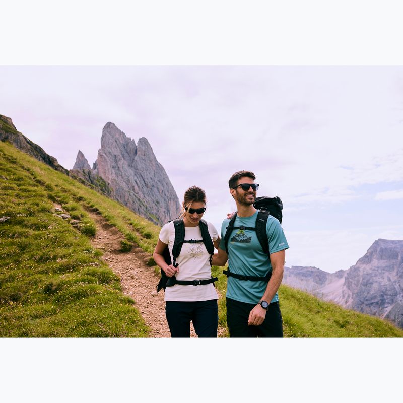 Tricou de trekking pentru bărbați REGATTA Fingal arctic 12