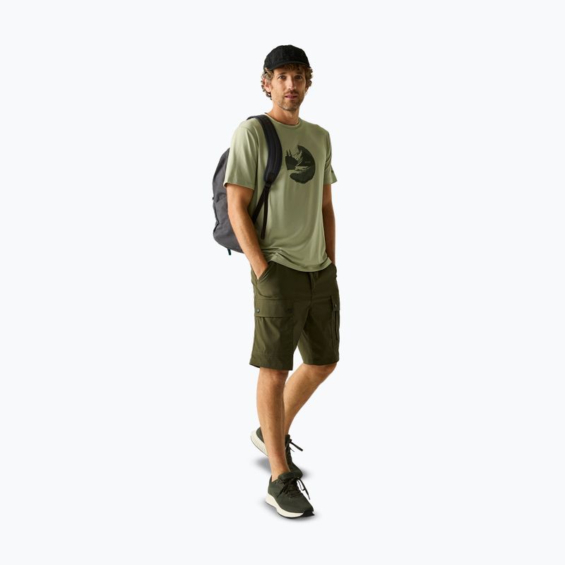Tricou de trekking pentru bărbați REGATTA Fingal Stretch light sage 2