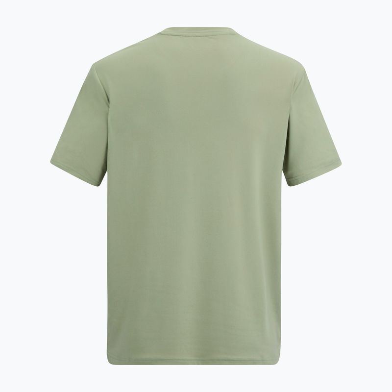 Tricou de trekking pentru bărbați REGATTA Fingal Stretch light sage 6