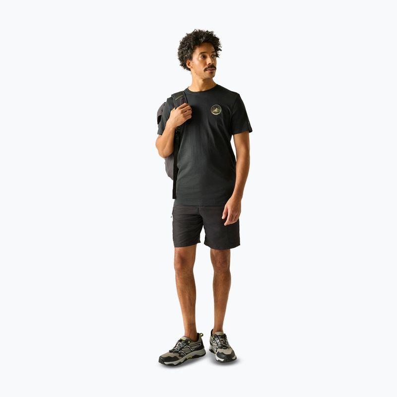Tricou de trekking pentru bărbați REGATTA Breezed ash 2