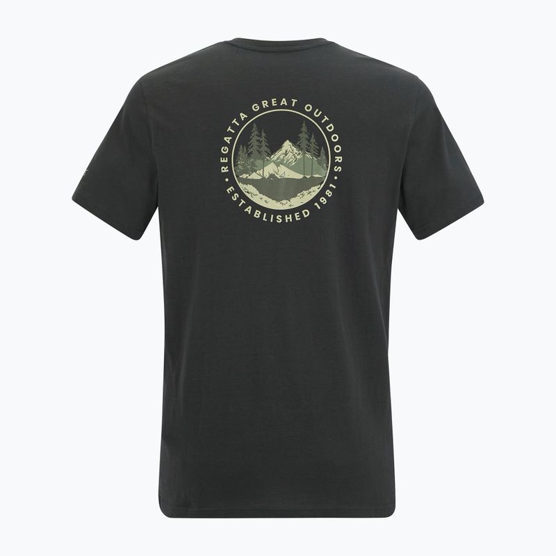 Tricou de trekking pentru bărbați REGATTA Breezed ash 6