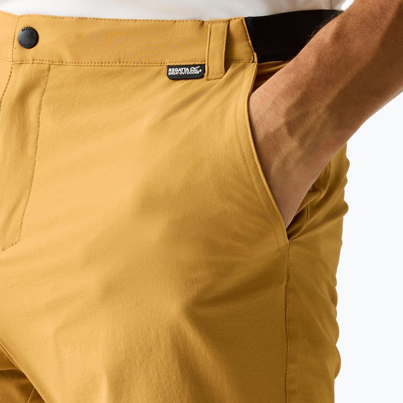 Pantaloni scurți de trekking pentru bărbați REGATTA Anti Insect Travel Light wood brown 4
