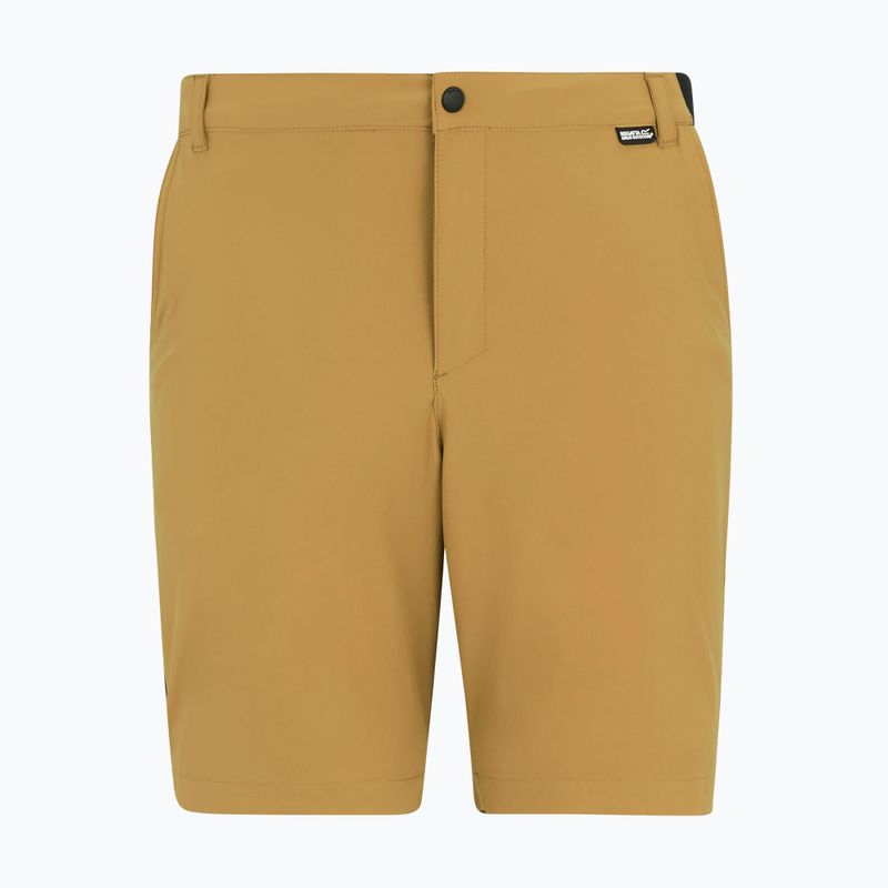 Pantaloni scurți de trekking pentru bărbați REGATTA Anti Insect Travel Light wood brown 5