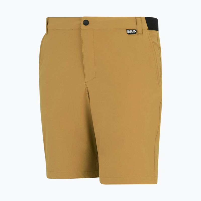 Pantaloni scurți de trekking pentru bărbați REGATTA Anti Insect Travel Light wood brown 7
