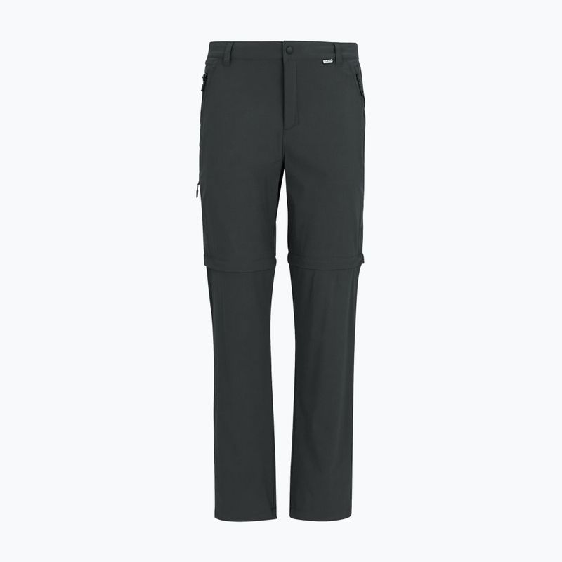 Pantaloni de trekking pentru bărbați REGATTA Anti Insect Travel Light ash 8
