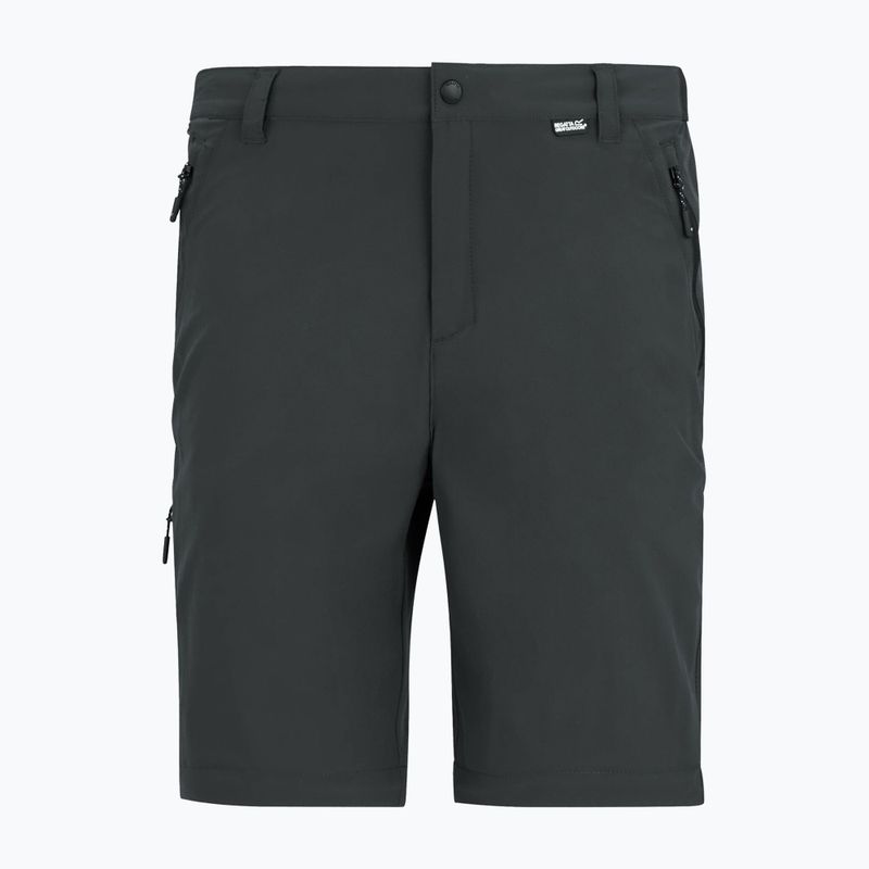 Pantaloni de trekking pentru bărbați REGATTA Anti Insect Travel Light ash 11