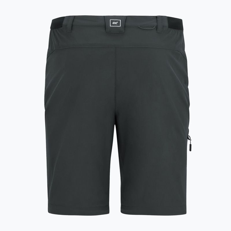 Pantaloni de trekking pentru bărbați REGATTA Anti Insect Travel Light ash 12