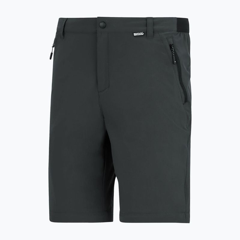 Pantaloni de trekking pentru bărbați REGATTA Anti Insect Travel Light ash 13