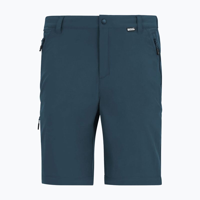 Pantaloni de trekking pentru bărbați REGATTA Anti Insect Travel Light night sky 4
