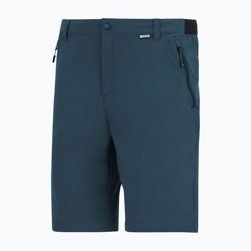 Pantaloni de trekking pentru bărbați REGATTA Anti Insect Travel Light night sky 6