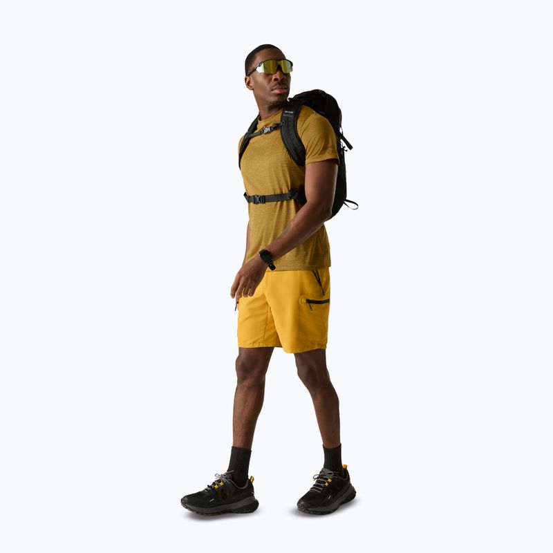 Tricou de trekking pentru bărbați REGATTA Fingal Edition wood brown 2