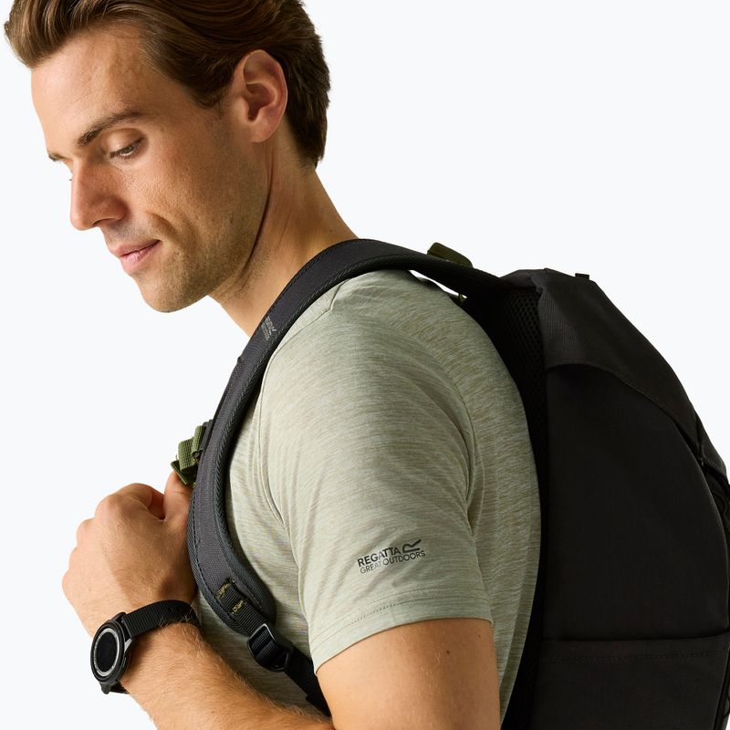 Tricou de trekking pentru bărbați REGATTA Fingal Edition light sage 4