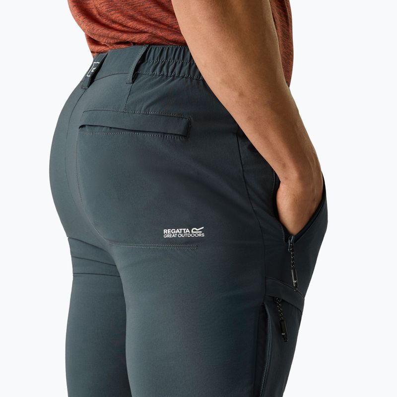 Pantaloni de trekking pentru bărbați REGATTA Highton II night sky 7