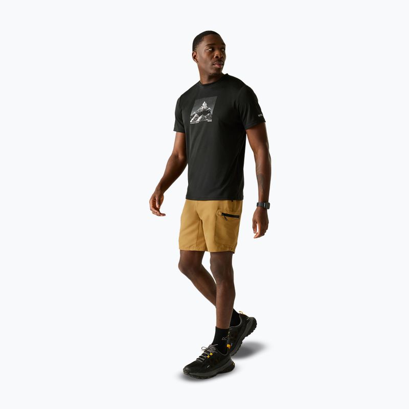 Pantaloni scurți de trekking pentru bărbați REGATTA Leesville III wood brown 2