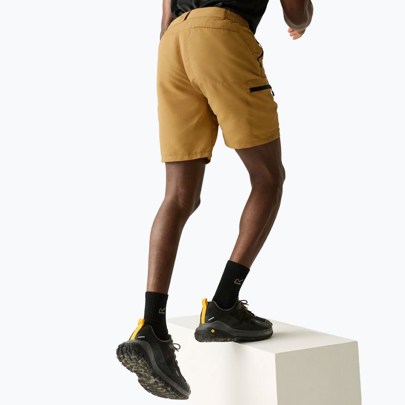 Pantaloni scurți de trekking pentru bărbați REGATTA Leesville III wood brown 4