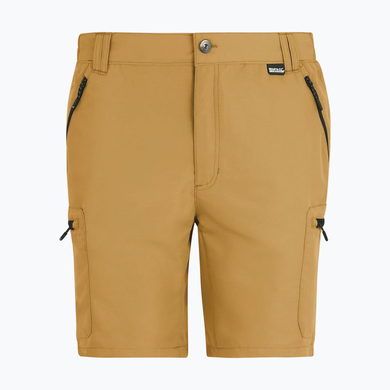 Pantaloni scurți de trekking pentru bărbați REGATTA Leesville III wood brown 6