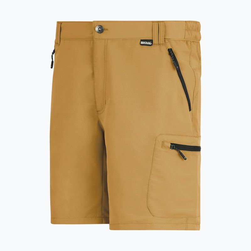 Pantaloni scurți de trekking pentru bărbați REGATTA Leesville III wood brown 8