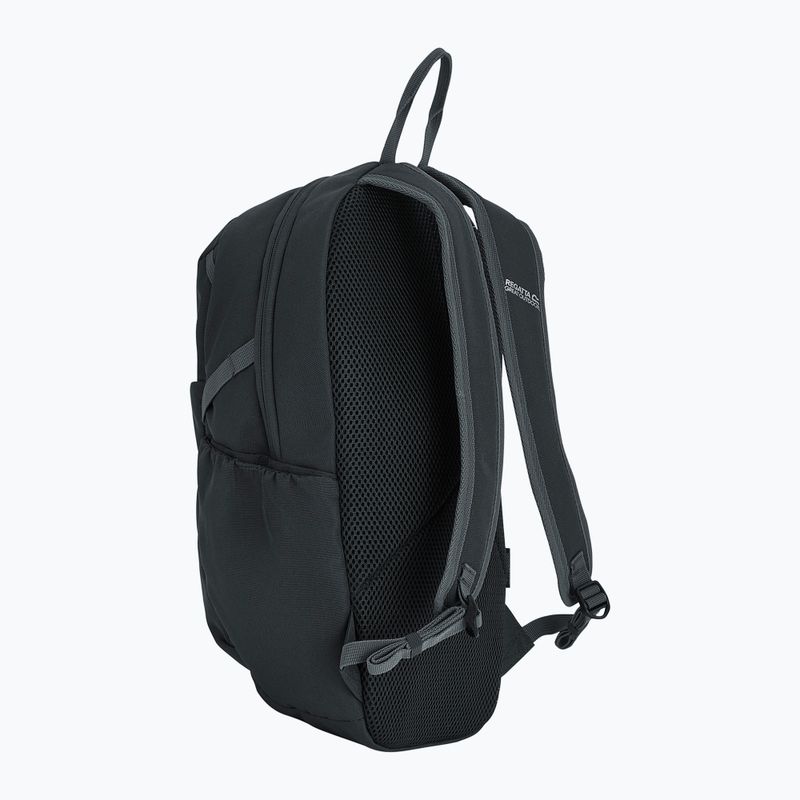 Rucsac de oraș REGATTA Everyday Prism 15 l ash 3