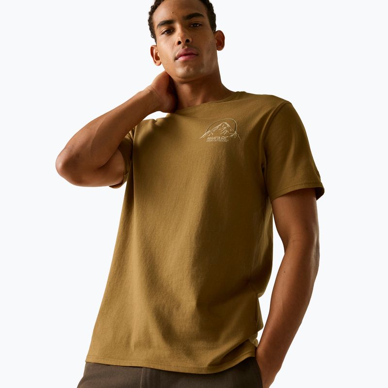 Tricou pentru bărbați Regatta ClineIX rich tan original outdoor 4