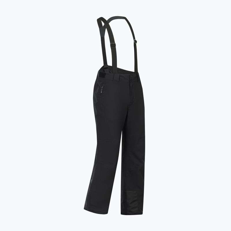 Pantaloni de schi pentru bărbați Dare 2b Achieve III Pant black 10