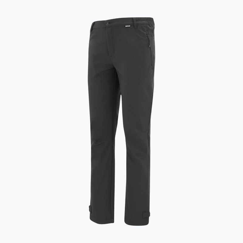 Pantaloni softshell pentru bărbați REGATTA Geo Softshell ash 9
