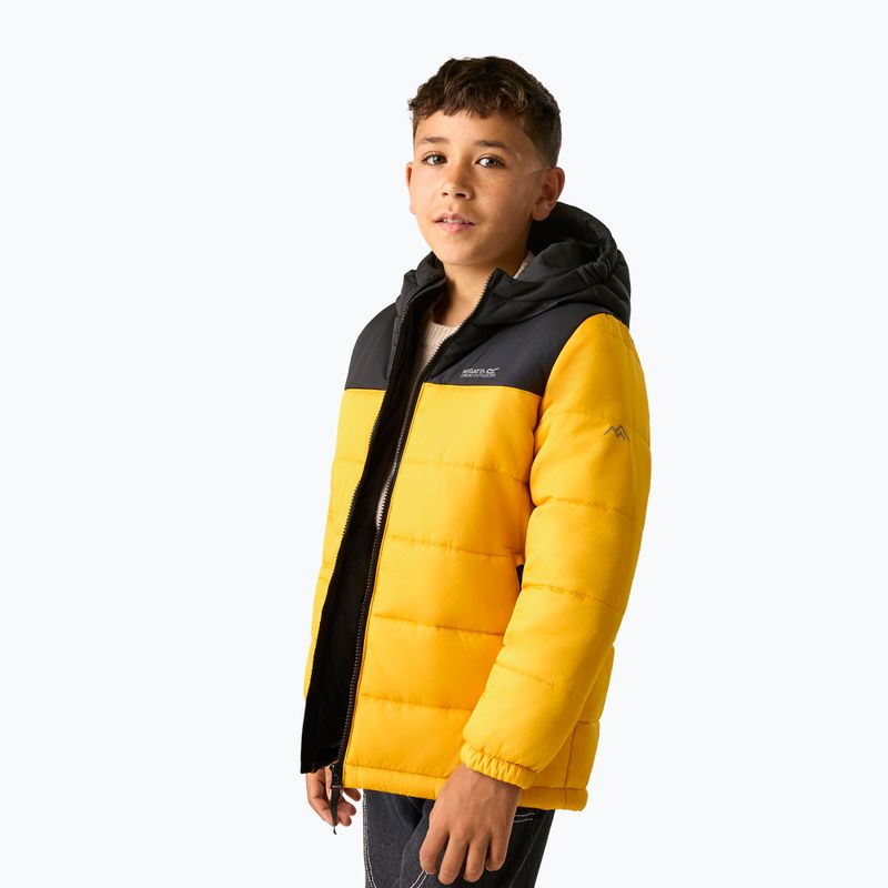 Geacă izolată pentru copii REGATTA Lofthouse black/mustard 5