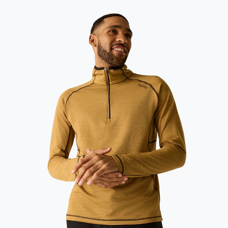 Bluză fleece pentru bărbați REGATTA Yonder II wood brown
