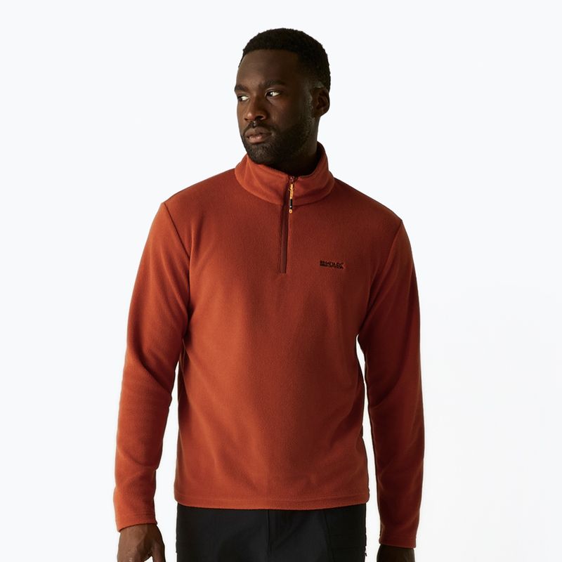 Bluză fleece pentru bărbați Regatta Thompson rooibos tea