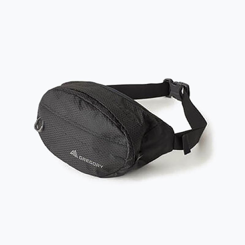 Gregory Nano Waistpack cu rinichi negru 126861 9