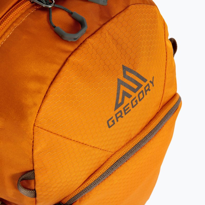 Gregory Nano 18 rucsac portocaliu 111498 4