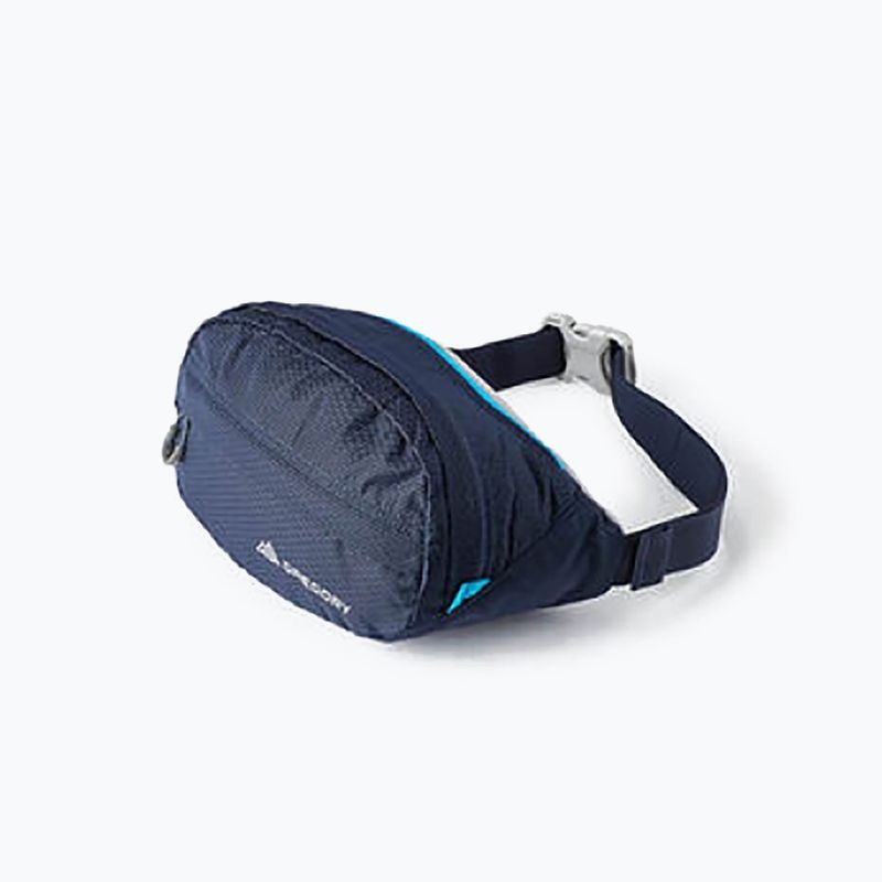 Borsetă Gregory Nano Waistpack bright navy 9