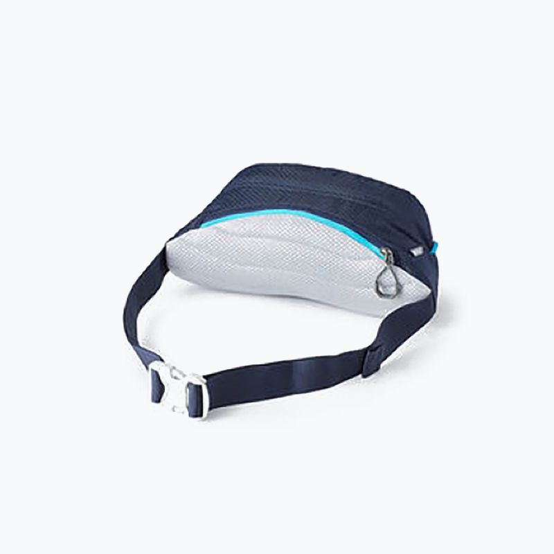 Gregory Nano Waistpack cu rinichi pentru rinichi albastru marin 126861 10