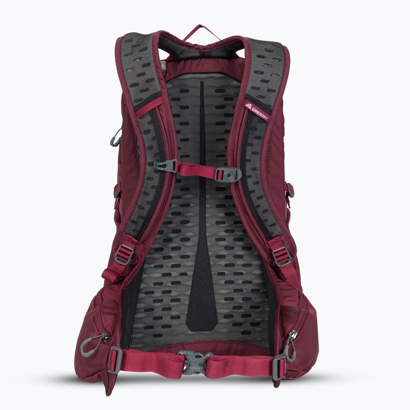 Rucsac turistic Gregory Kiro 22 l amethyst purple 3