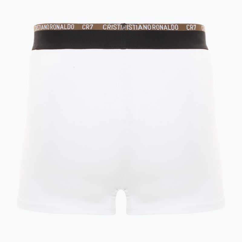 Boxeri pentru bărbați CR7 Basic Trunk 10 perechi multicolur 5