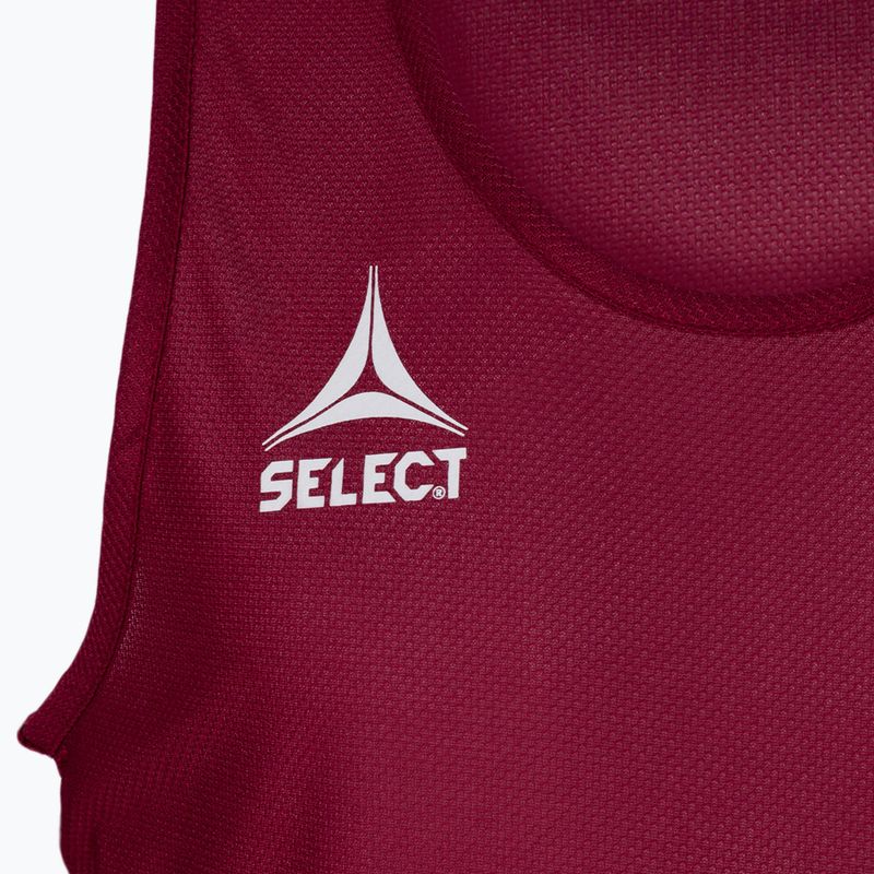 Etichetă Select Basic Maron 6841002997 3