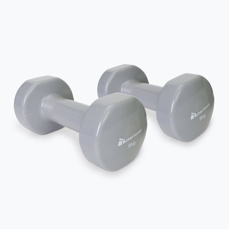 Haltere Meteor 2 x 5 kg gri 30187