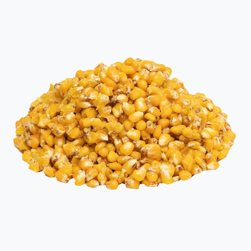 Carp Target Wild Rose Wild Rose Fishing Corn 0009 2