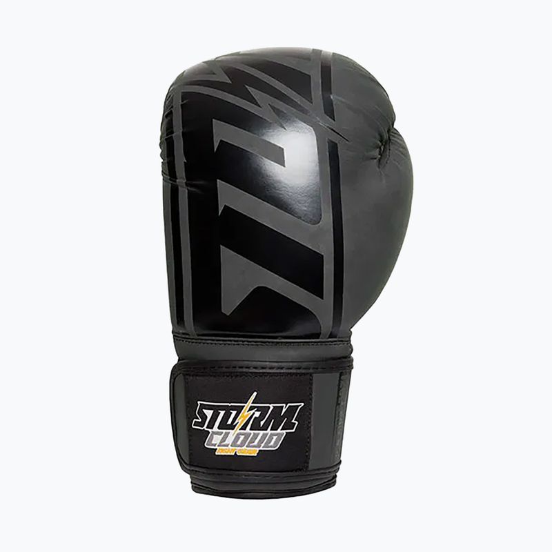 Mănuși de box StormCloud Bolt 2 3
