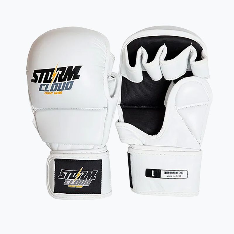 Mănuși de grappling StormCloud Hurricane white/black