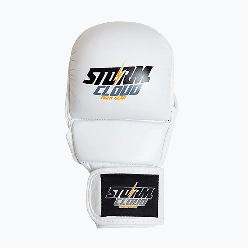 Mănuși de grappling StormCloud Hurricane white/black 2