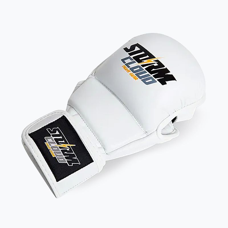 Mănuși de grappling StormCloud Hurricane white/black 3