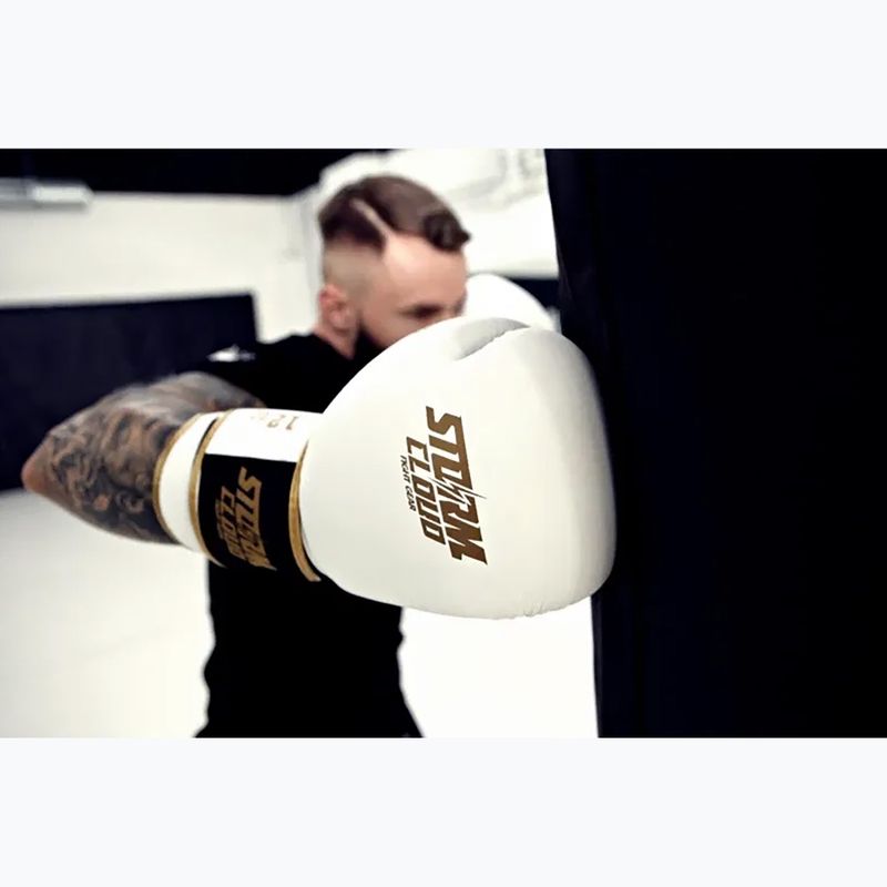 Mănuși de box StormCloud Boxing Pro white/gold 10