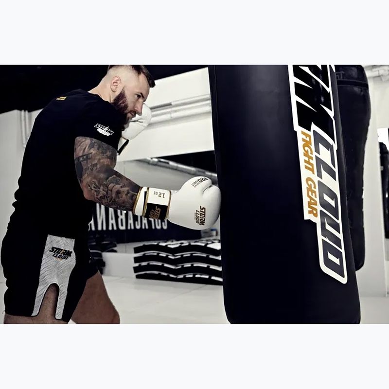 Mănuși de box StormCloud Boxing Pro white/gold 11