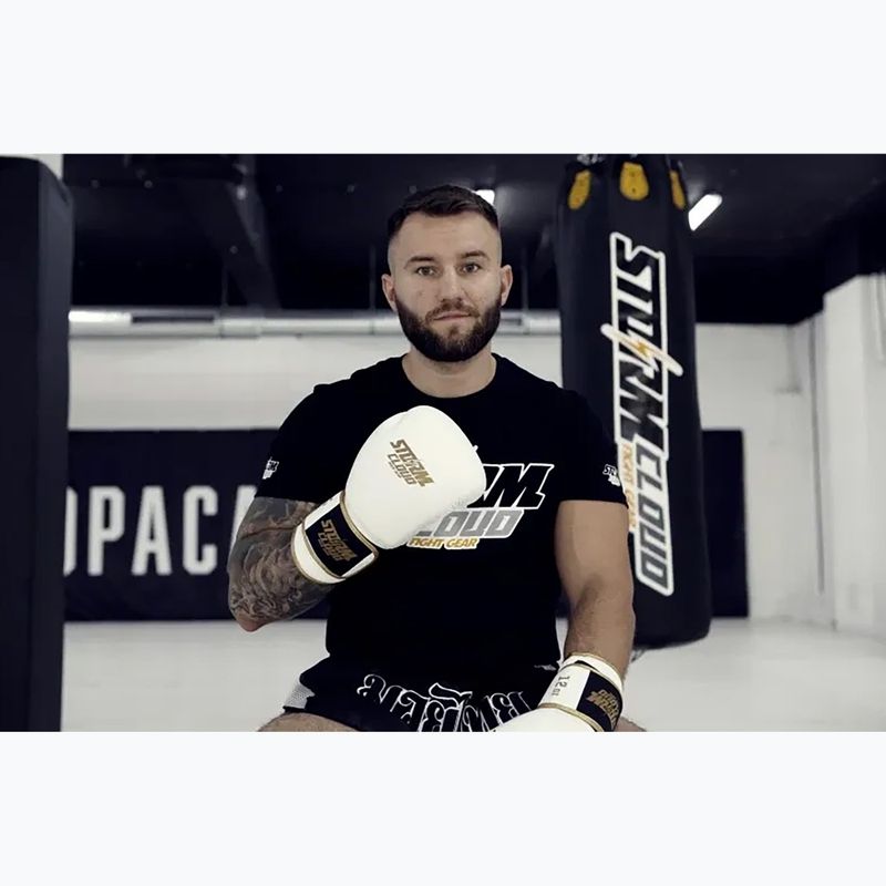 Mănuși de box StormCloud Boxing Pro white/gold 12